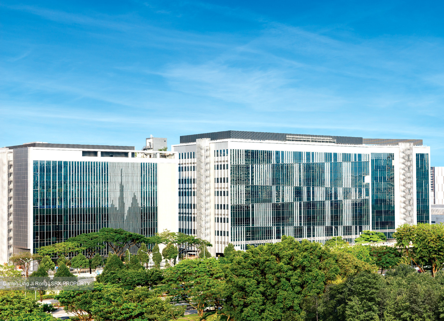 Kallang Way (D13), Factory #584421131